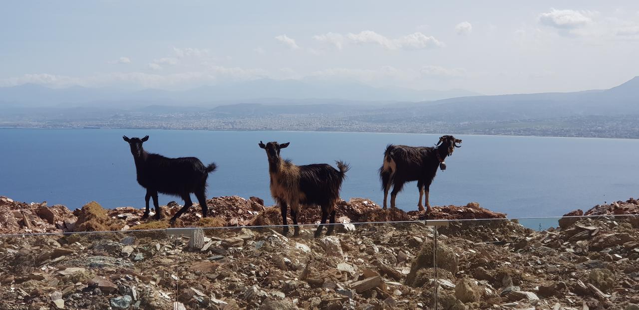 Ocean Villas Complex Agia Pelagia Eksteriør billede